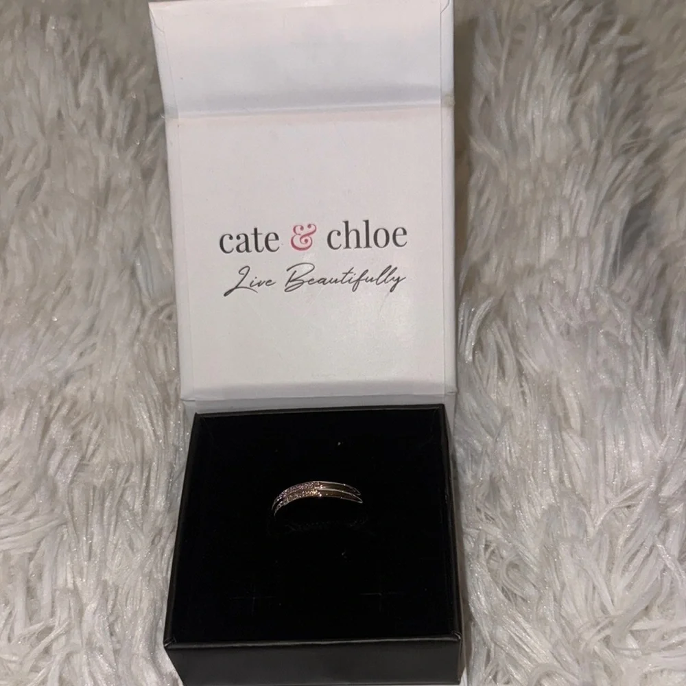Cate & Chloe Silver Earrings - Picture 1 of 3